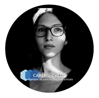 S.E.A 45 CAREME Chloé