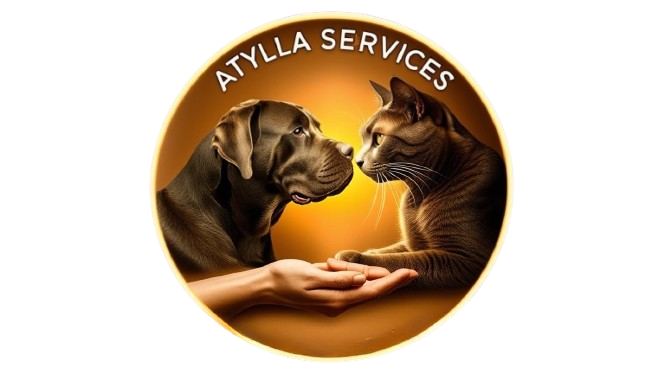 Atylla Services