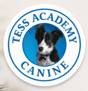 TESS ACADEMY CANINE